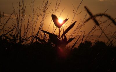 End of life planning – 5 vital things to set up before you pass away